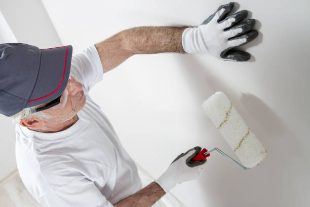 Best Mold Prevention Services  in Lavalette, WV