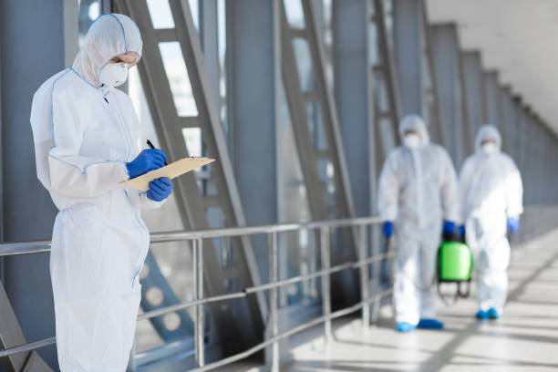 Best Emergency Mold Remediation  in Lavalette, WV