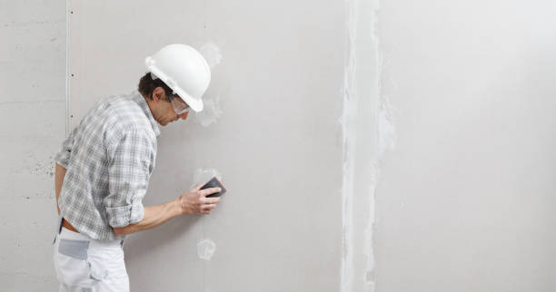 Best Comprehensive Air Testing for Mold Contaminants  in Lavalette, WV