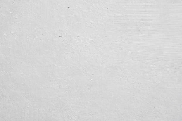 Best Black Mold Removal  in Lavalette, WV